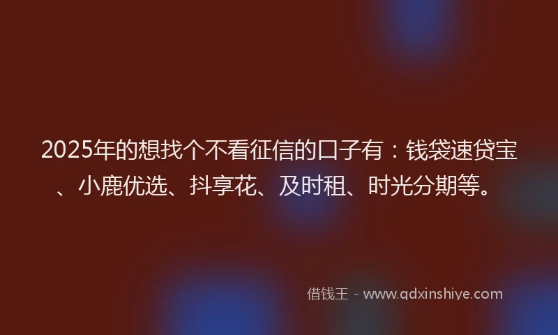 2025年的想找个不看征信的口子有：钱袋速贷宝、小鹿优选、抖享花、及时租、时光分期等。