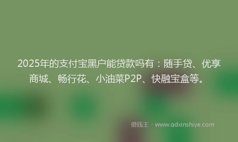 2025年的支付宝黑户能贷款吗有：随手贷、优享商城、畅行花、小油菜P2P、快融宝盒等。