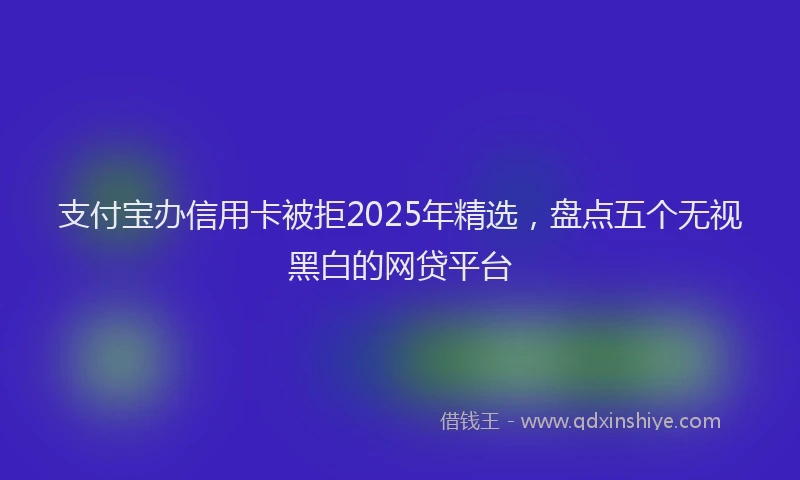 支付宝办信用卡被拒2025年精选，盘点五个无视黑白的网贷平台