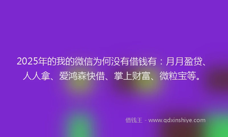 2025年的我的微信为何没有借钱有：月月盈贷、人人拿、爱鸿森快借、掌上财富、微粒宝等。