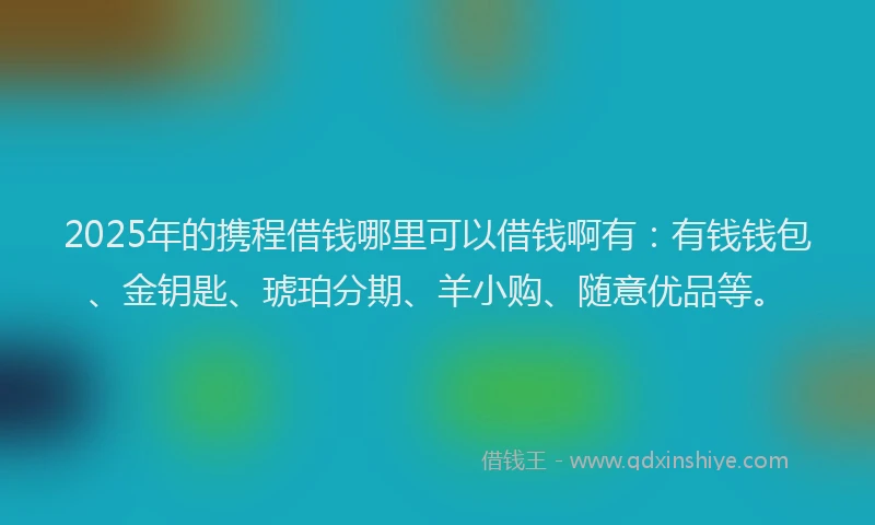 2025年的携程借钱哪里可以借钱啊有：有钱钱包、金钥匙、琥珀分期、羊小购、随意优品等。