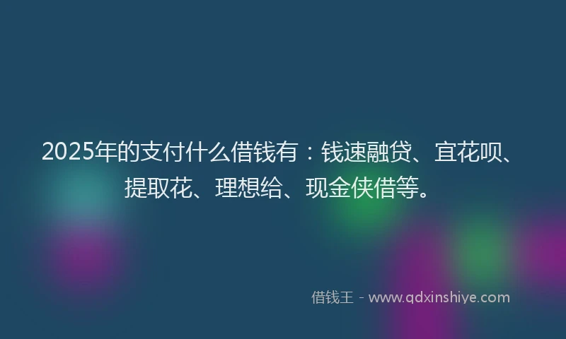 2025年的支付什么借钱有：钱速融贷、宜花呗、提取花、理想给、现金侠借等。