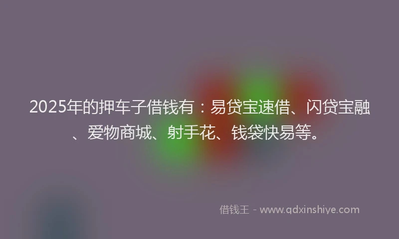 2025年的押车子借钱有：易贷宝速借、闪贷宝融、爱物商城、射手花、钱袋快易等。