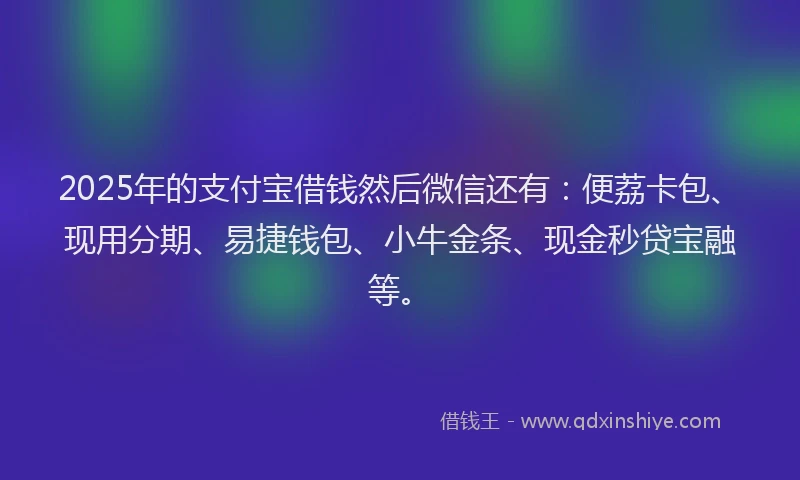2025年的支付宝借钱然后微信还有：便荔卡包、现用分期、易捷钱包、小牛金条、现金秒贷宝融等。