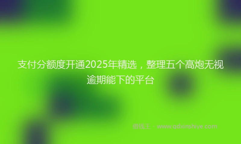 支付分额度开通2025年精选，整理五个高炮无视逾期能下的平台