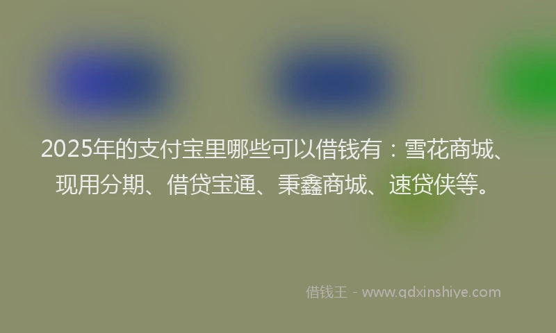 2025年的支付宝里哪些可以借钱有：雪花商城、现用分期、借贷宝通、秉鑫商城、速贷侠等。