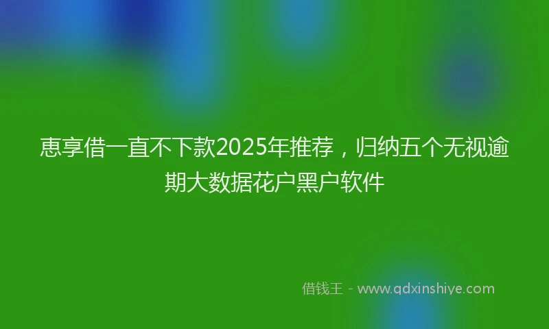 恵享借一直不下款2025年推荐，归纳五个无视逾期大数据花户黑户软件