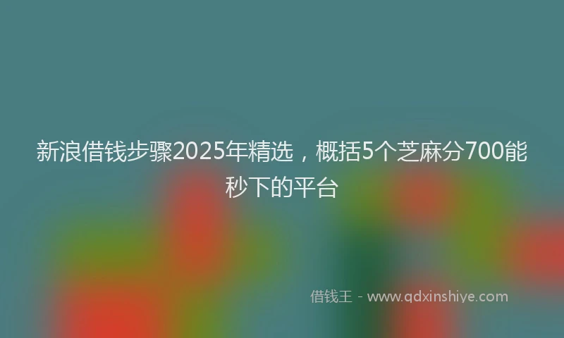 新浪借钱步骤2025年精选，概括5个芝麻分700能秒下的平台