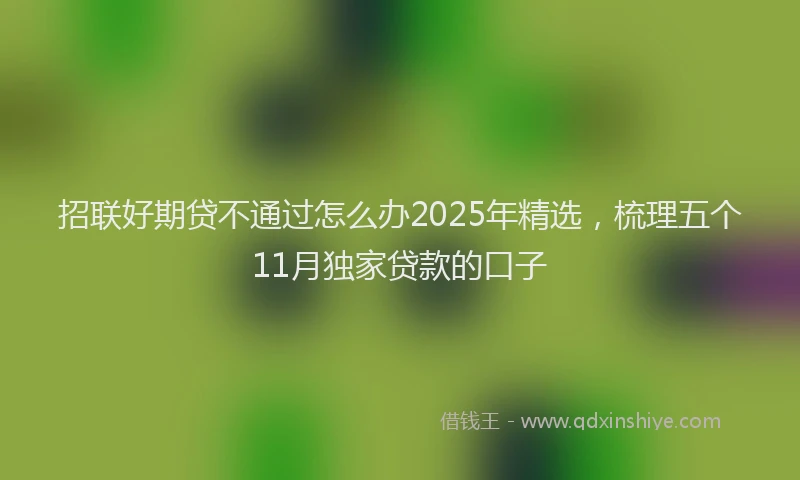 招联好期贷不通过怎么办2025年精选，梳理五个11月独家贷款的口子
