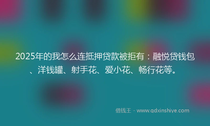 2025年的我怎么连抵押贷款被拒有：融悦贷钱包、洋钱罐、射手花、爱小花、畅行花等。