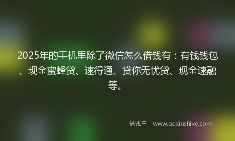 2025年的手机里除了微信怎么借钱有：有钱钱包、现金蜜蜂贷、速得通、贷你无忧贷、现金速融等。