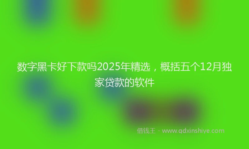 数字黑卡好下款吗2025年精选，概括五个12月独家贷款的软件