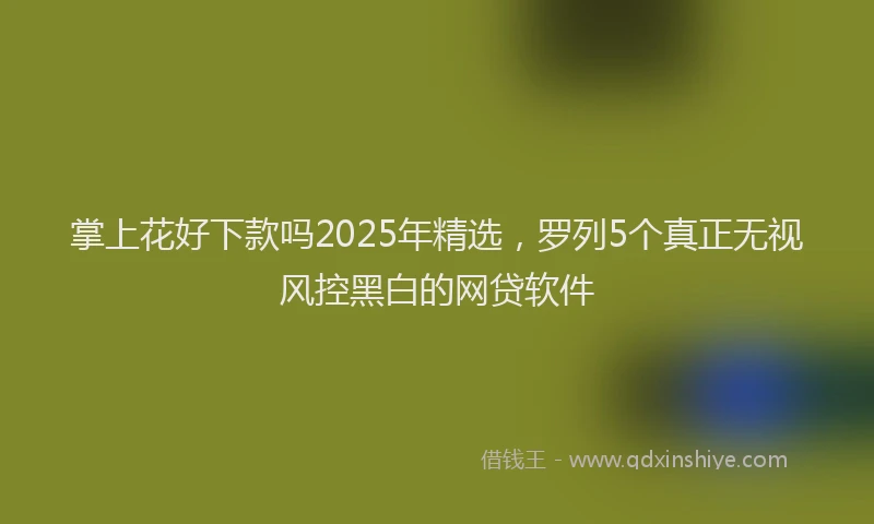 掌上花好下款吗2025年精选，罗列5个真正无视风控黑白的网贷软件