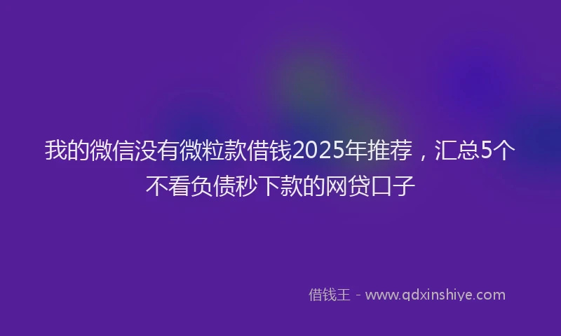 我的微信没有微粒款借钱2025年推荐，汇总5个不看负债秒下款的网贷口子