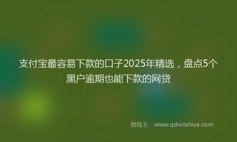 支付宝最容易下款的口子2025年精选，盘点5个黑户逾期也能下款的网贷