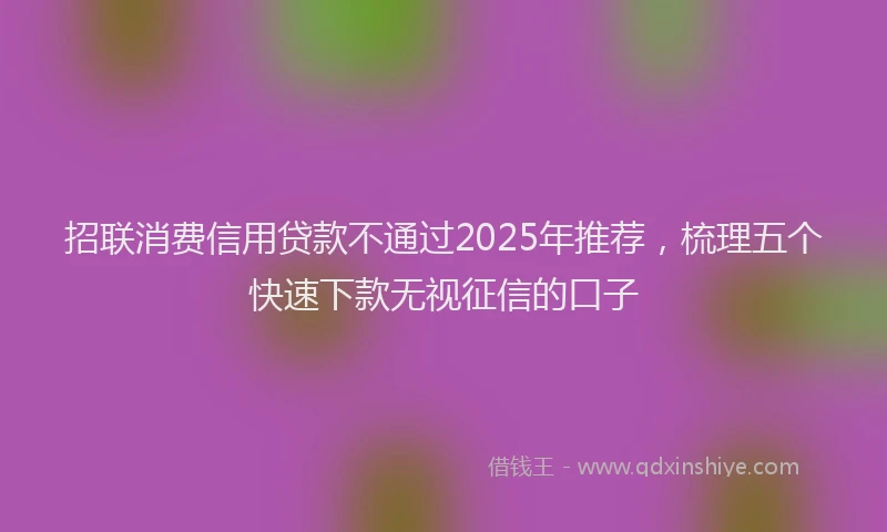 招联消费信用贷款不通过2025年推荐，梳理五个快速下款无视征信的口子