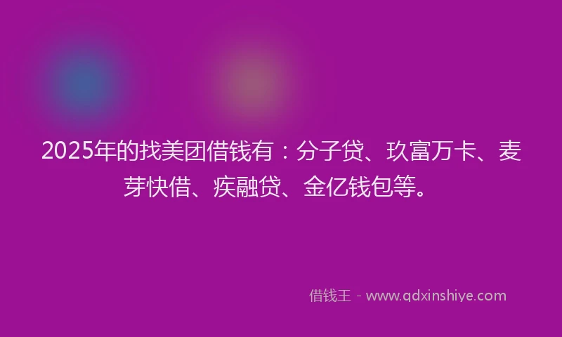 2025年的找美团借钱有：分子贷、玖富万卡、麦芽快借、疾融贷、金亿钱包等。