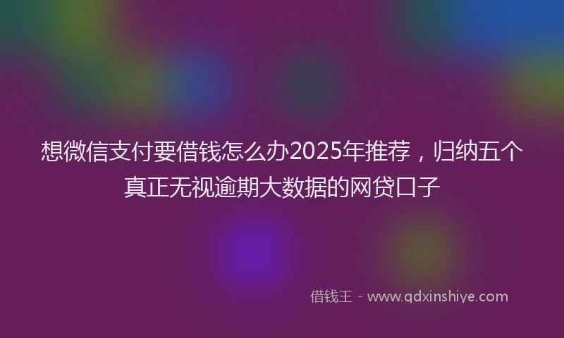想微信支付要借钱怎么办2025年推荐，归纳五个真正无视逾期大数据的网贷口子