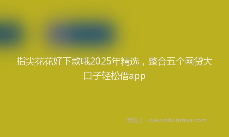 指尖花花好下款哦2025年精选，整合五个网贷大口子轻松借app