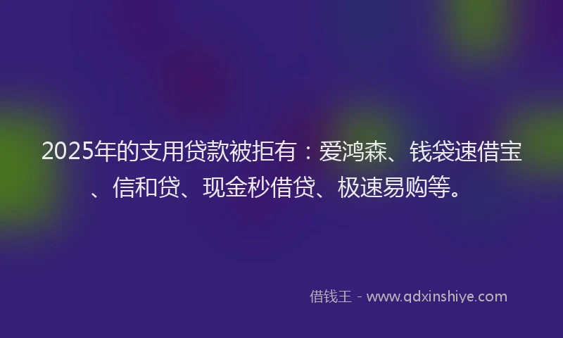 2025年的支用贷款被拒有：爱鸿森、钱袋速借宝、信和贷、现金秒借贷、极速易购等。