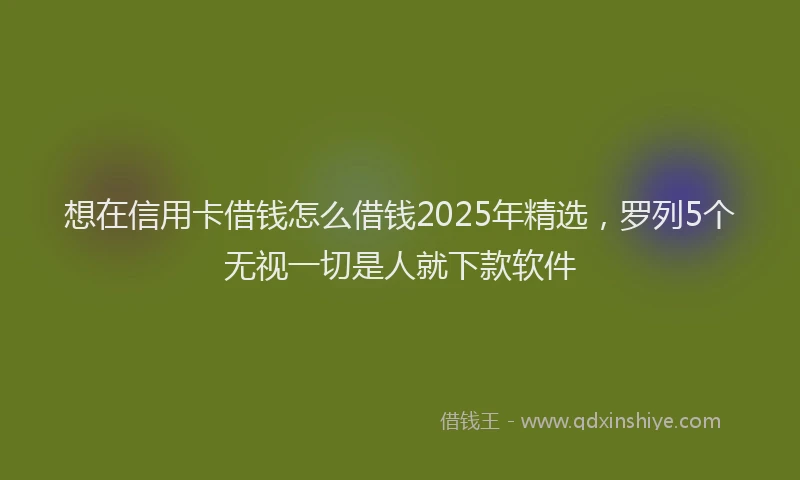 想在信用卡借钱怎么借钱2025年精选，罗列5个无视一切是人就下款软件