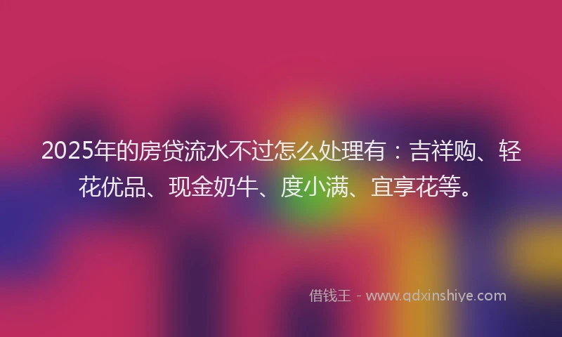 2025年的房贷流水不过怎么处理有：吉祥购、轻花优品、现金奶牛、度小满、宜享花等。