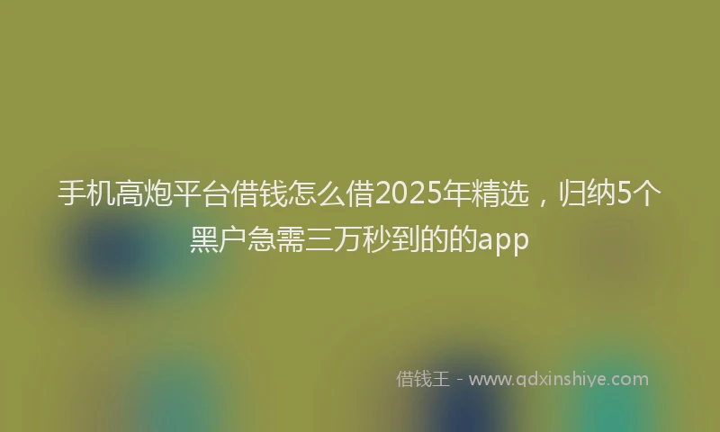 手机高炮平台借钱怎么借2025年精选，归纳5个黑户急需三万秒到的的app