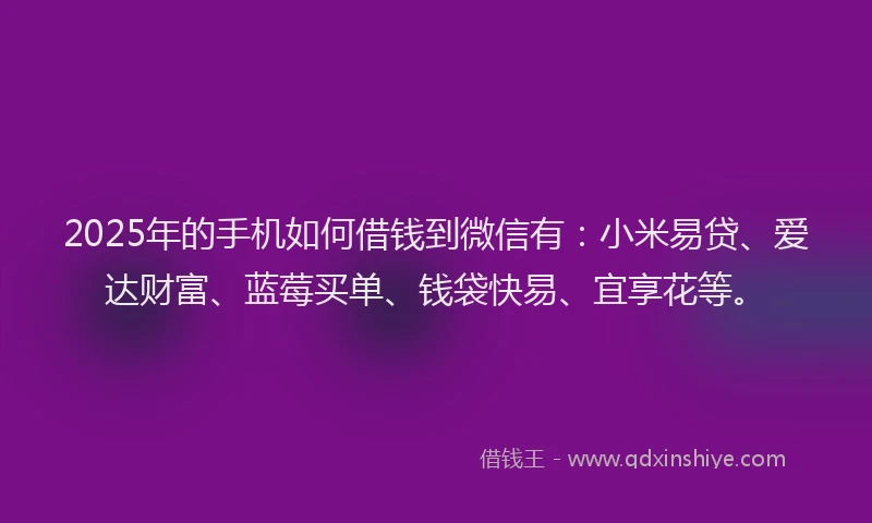 2025年的手机如何借钱到微信有：小米易贷、爱达财富、蓝莓买单、钱袋快易、宜享花等。