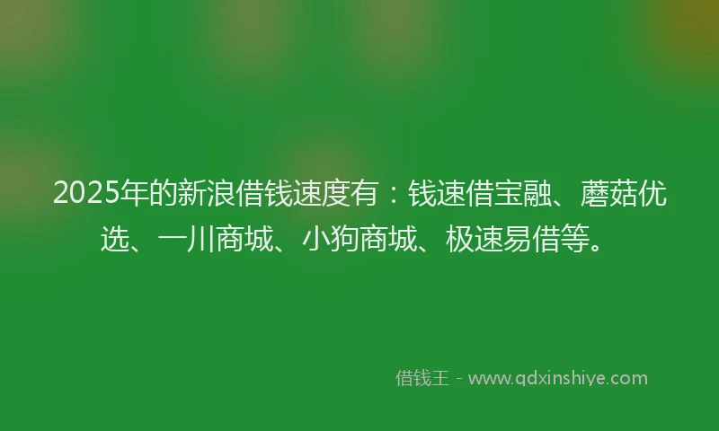 2025年的新浪借钱速度有：钱速借宝融、蘑菇优选、一川商城、小狗商城、极速易借等。