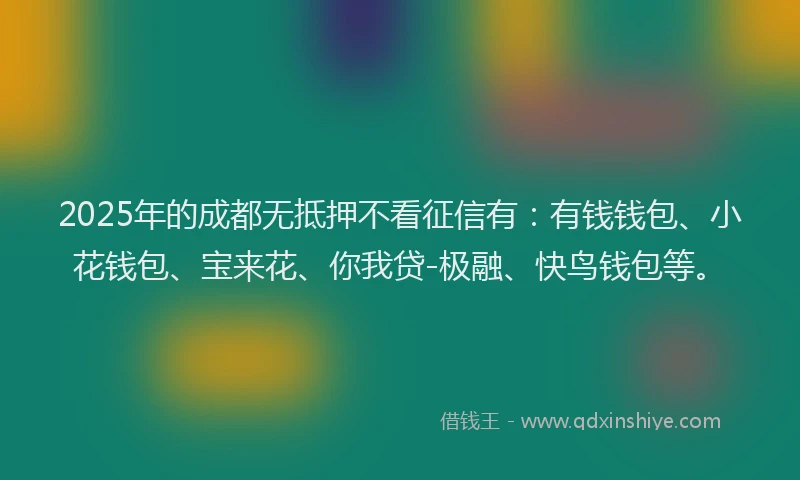 2025年的成都无抵押不看征信有：有钱钱包、小花钱包、宝来花、你我贷-极融、快鸟钱包等。