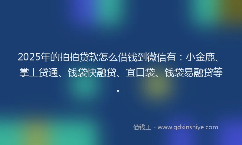 2025年的拍拍贷款怎么借钱到微信有：小金鹿、掌上贷通、钱袋快融贷、宜口袋、钱袋易融贷等。