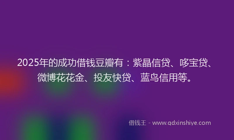 2025年的成功借钱豆瓣有：紫晶信贷、哆宝贷、微博花花金、投友快贷、蓝鸟信用等。