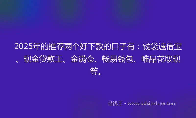 2025年的推荐两个好下款的口子有：钱袋速借宝、现金贷款王、金满仓、畅易钱包、唯品花取现等。