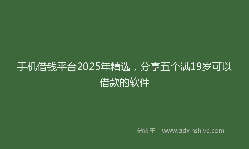手机借钱平台2025年精选，分享五个满19岁可以借款的软件