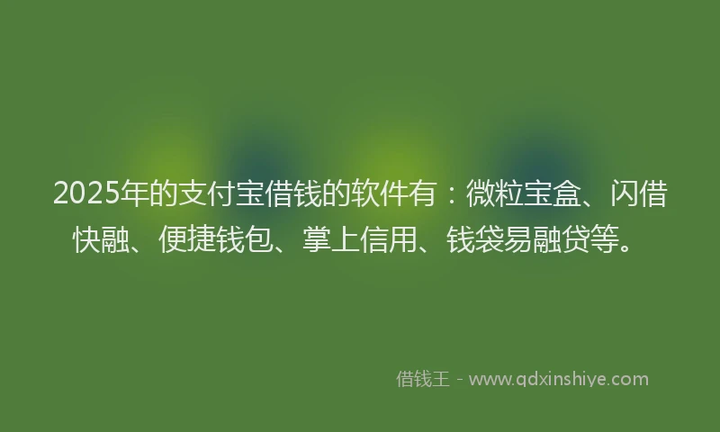 2025年的支付宝借钱的软件有：微粒宝盒、闪借快融、便捷钱包、掌上信用、钱袋易融贷等。