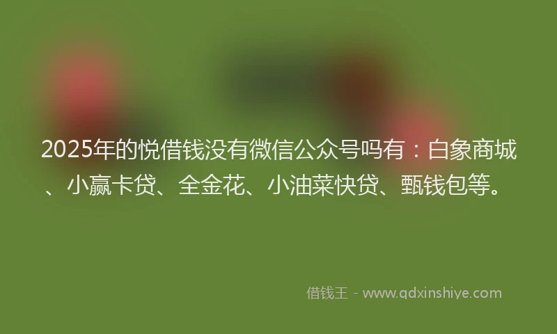 2025年的悦借钱没有微信公众号吗有：白象商城、小赢卡贷、全金花、小油菜快贷、甄钱包等。