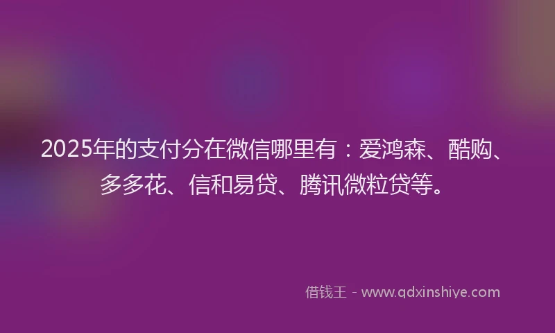 2025年的支付分在微信哪里有：爱鸿森、酷购、多多花、信和易贷、腾讯微粒贷等。