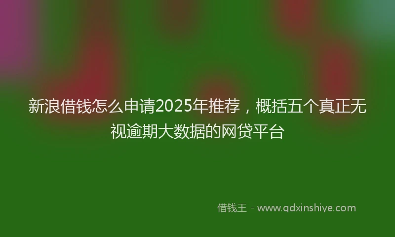 新浪借钱怎么申请2025年推荐，概括五个真正无视逾期大数据的网贷平台