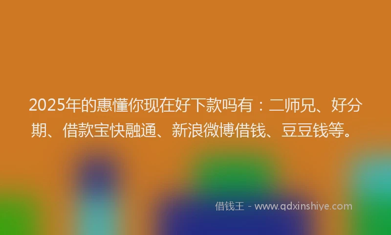 2025年的惠懂你现在好下款吗有：二师兄、好分期、借款宝快融通、新浪微博借钱、豆豆钱等。