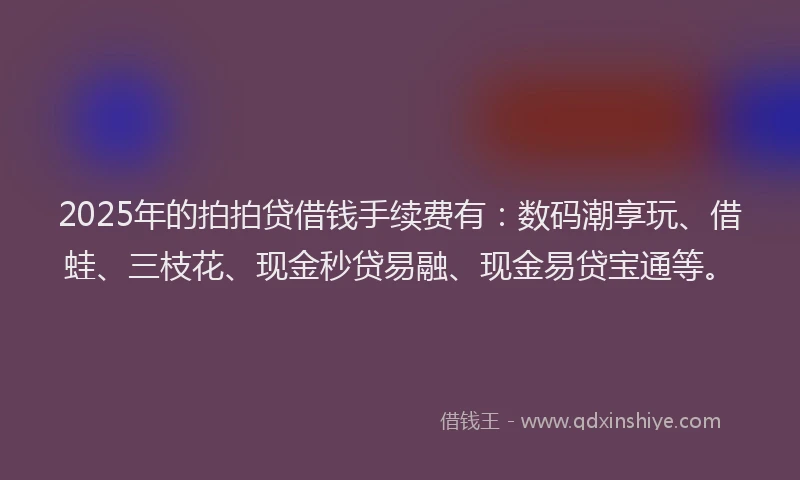 2025年的拍拍贷借钱手续费有：数码潮享玩、借蛙、三枝花、现金秒贷易融、现金易贷宝通等。