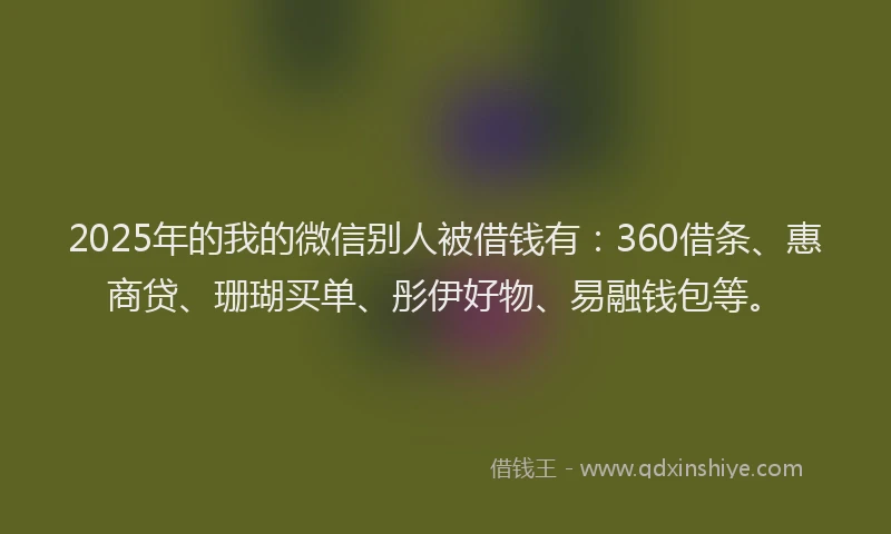 2025年的我的微信别人被借钱有：360借条、惠商贷、珊瑚买单、彤伊好物、易融钱包等。
