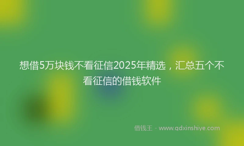 想借5万块钱不看征信2025年精选，汇总五个不看征信的借钱软件
