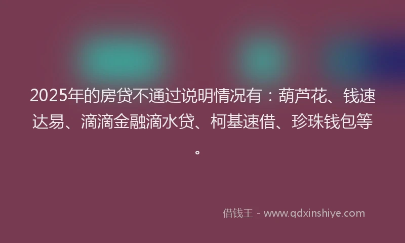 2025年的房贷不通过说明情况有：葫芦花、钱速达易、滴滴金融滴水贷、柯基速借、珍珠钱包等。