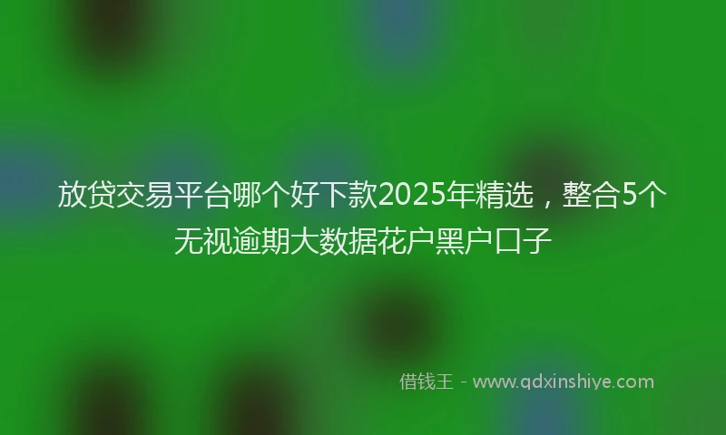 放贷交易平台哪个好下款2025年精选，整合5个无视逾期大数据花户黑户口子