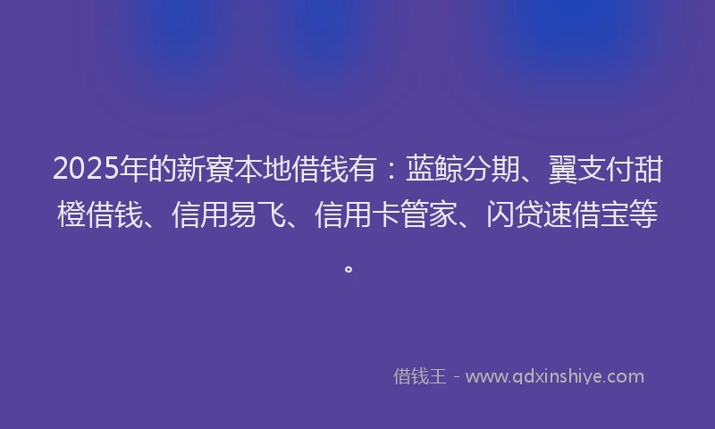 2025年的新寮本地借钱有：蓝鲸分期、翼支付甜橙借钱、信用易飞、信用卡管家、闪贷速借宝等。
