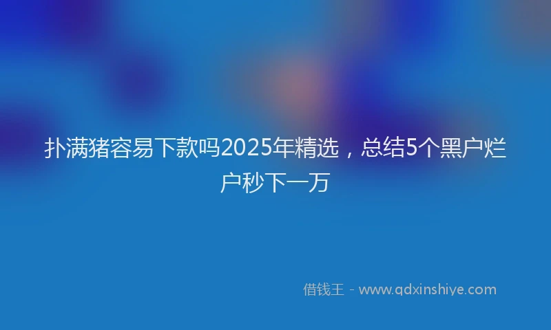 扑满猪容易下款吗2025年精选，总结5个黑户烂户秒下一万