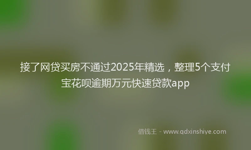 接了网贷买房不通过2025年精选，整理5个支付宝花呗逾期万元快速贷款app
