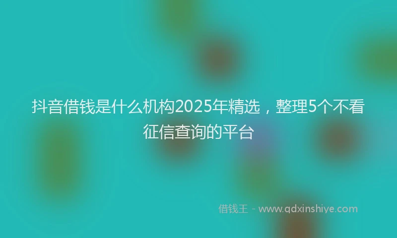 抖音借钱是什么机构2025年精选，整理5个不看征信查询的平台