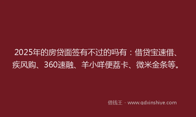 2025年的房贷面签有不过的吗有：借贷宝速借、疾风购、360速融、羊小咩便荔卡、微米金条等。