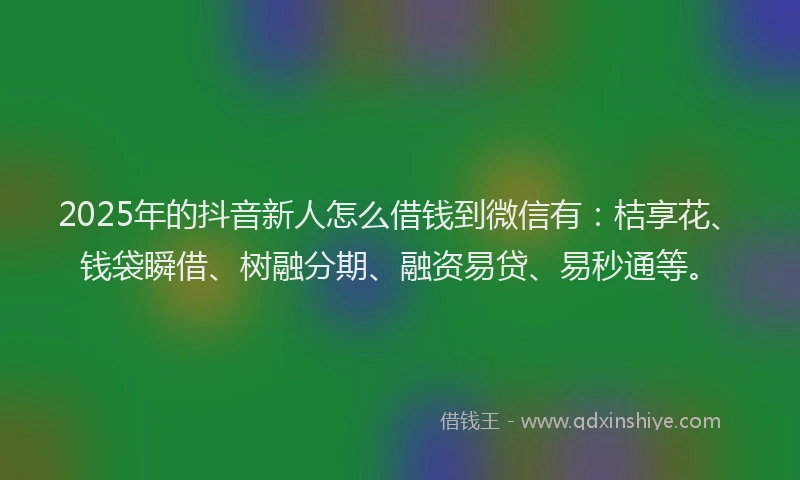 2025年的抖音新人怎么借钱到微信有：桔享花、钱袋瞬借、树融分期、融资易贷、易秒通等。